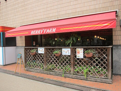 BERRY FARM